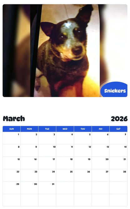 November 2025 - October 2026 Snickers - Pawidols Pet Calendar