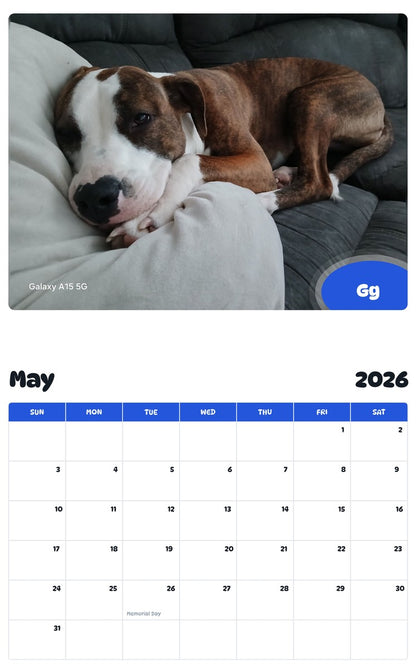 2026 - 2027 Gg - Pawidols Pet Calendar