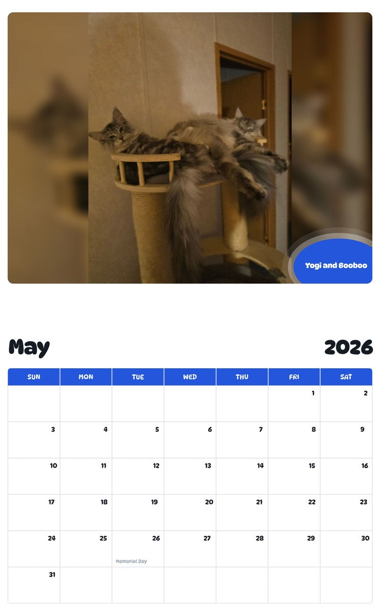 2026 - 2027 Yogi and Booboo - Pawidols Pet Calendar