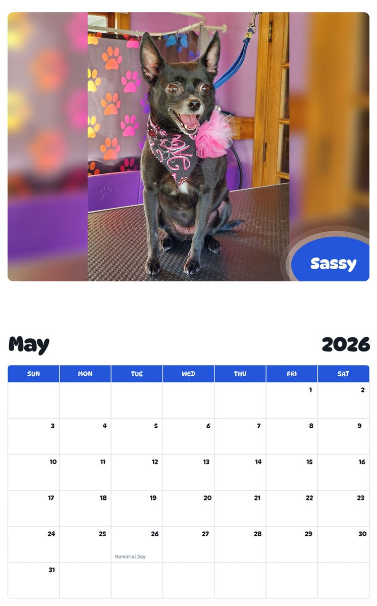 2026 - 2027 Sassy - Pawidols Pet Calendar
