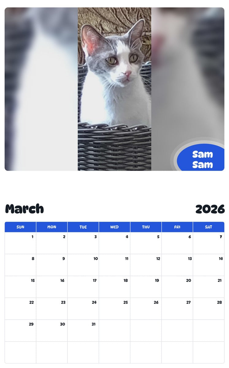 November 2025 - October 2026 Sam Sam - Pawidols Pet Calendar