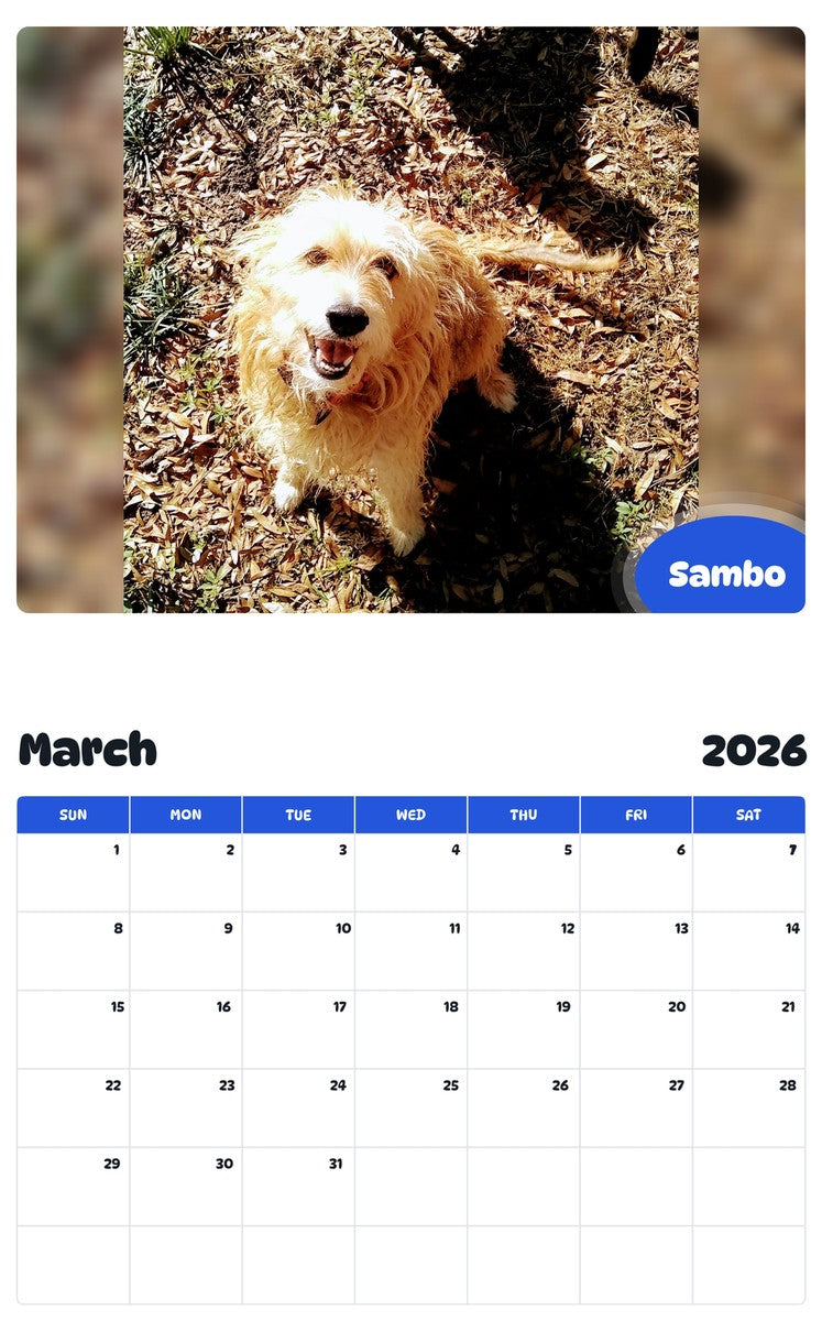 November 2025 - October 2026 Sambo - Pawidols Pet Calendar
