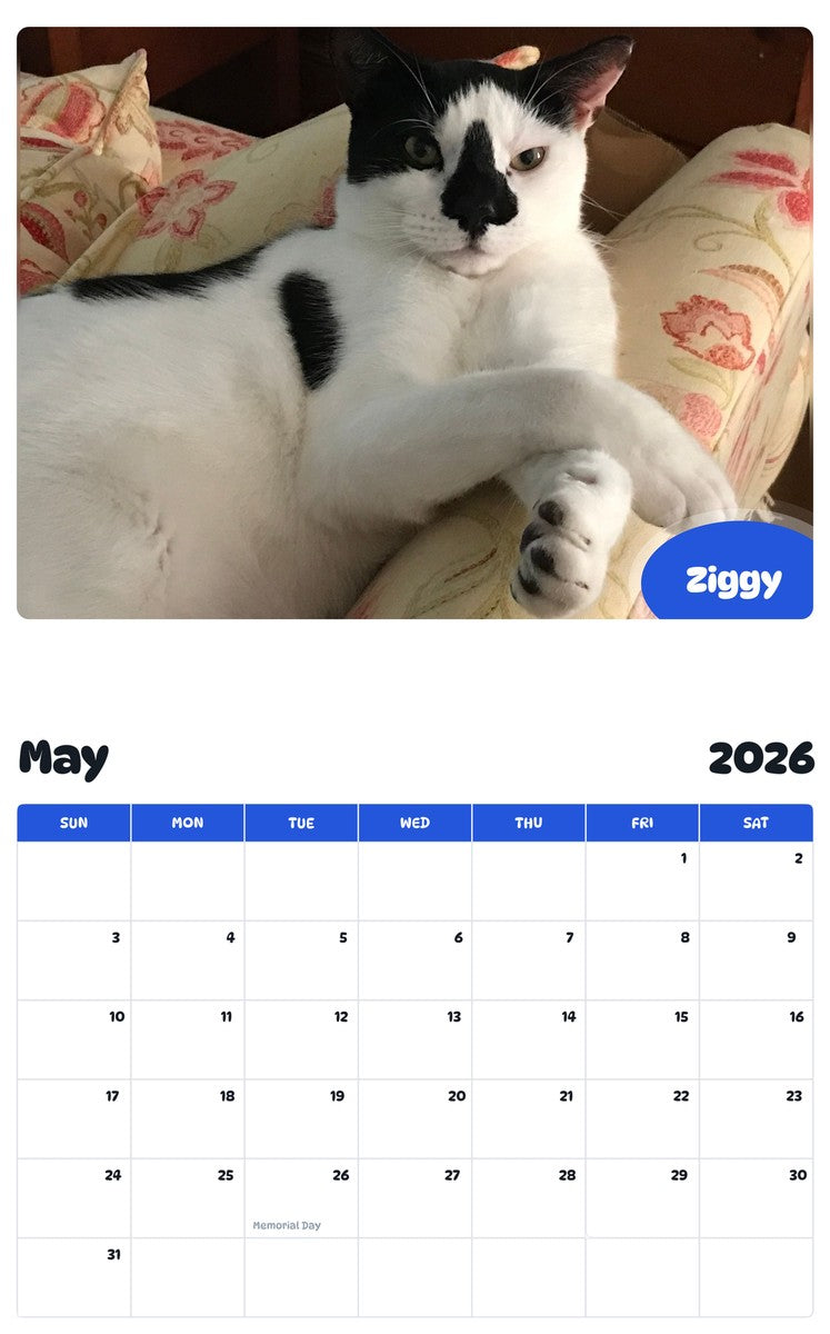 2026 - 2027 Ziggy - Pawidols Pet Calendar