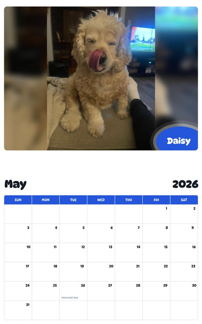 2026 - 2027 Daisy - Pawidols Pet Calendar
