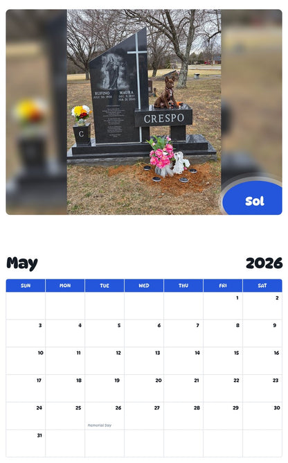 2026 - 2027 Sol - Pawidols Pet Calendar