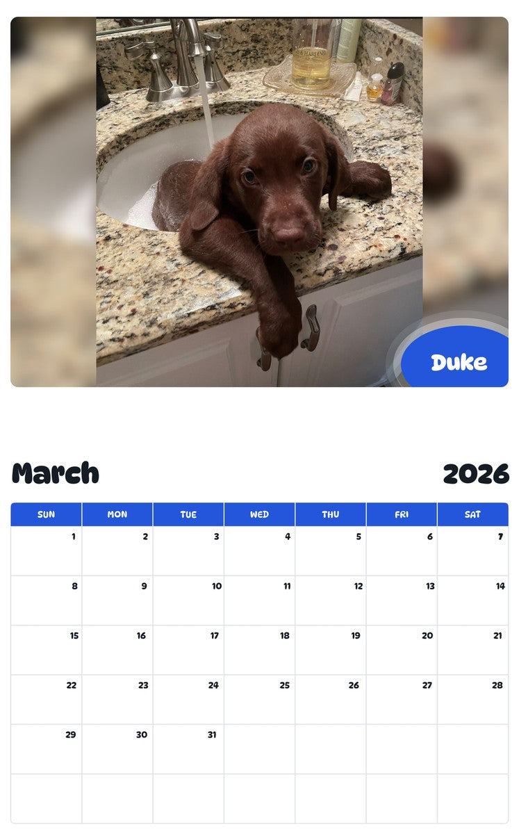 November 2025 - October 2026 Duke - Pawidols Pet Calendar