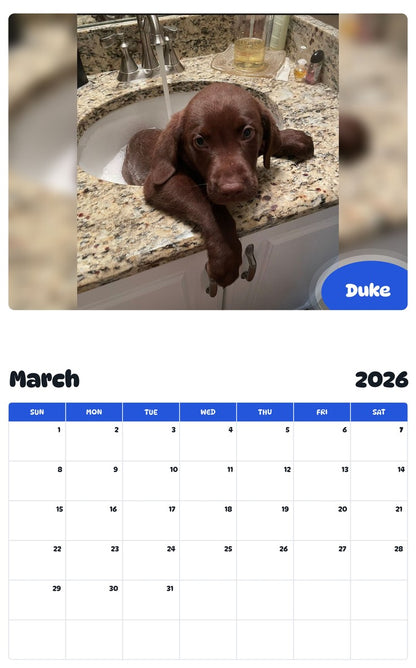November 2025 - October 2026 Duke - Pawidols Pet Calendar