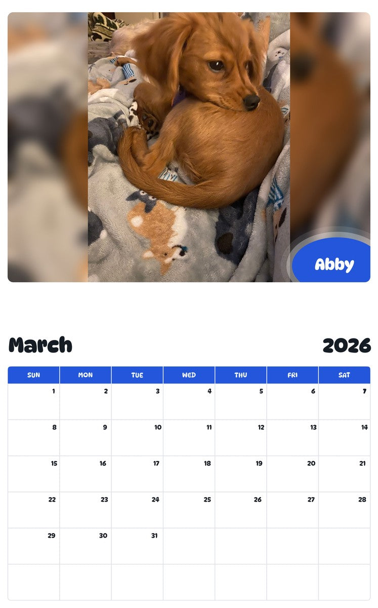 November 2025 - October 2026 Abby - Pawidols Pet Calendar