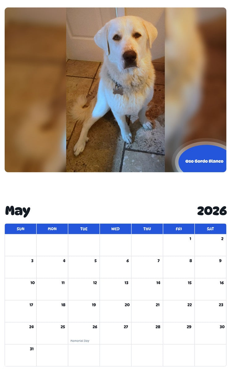 2026 - 2027 Oso Gordo Blanco - Pawidols Pet Calendar