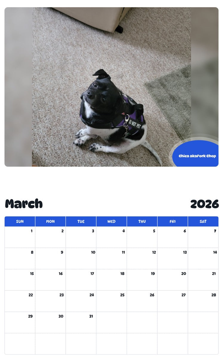 November 2025 - October 2026 Chica akaPork Chop - Pawidols Pet Calendar