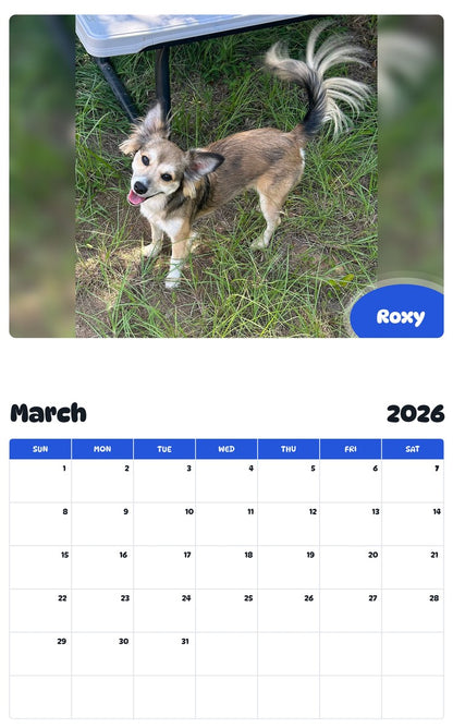 November 2025 - October 2026 Roxy - Pawidols Pet Calendar