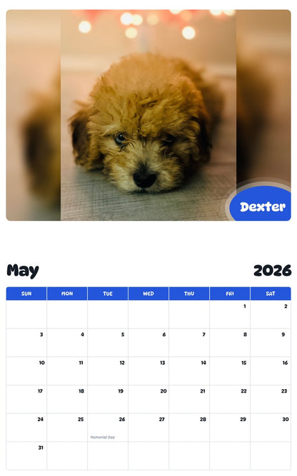 2026 - 2027 Dexter - Pawidols Pet Calendar