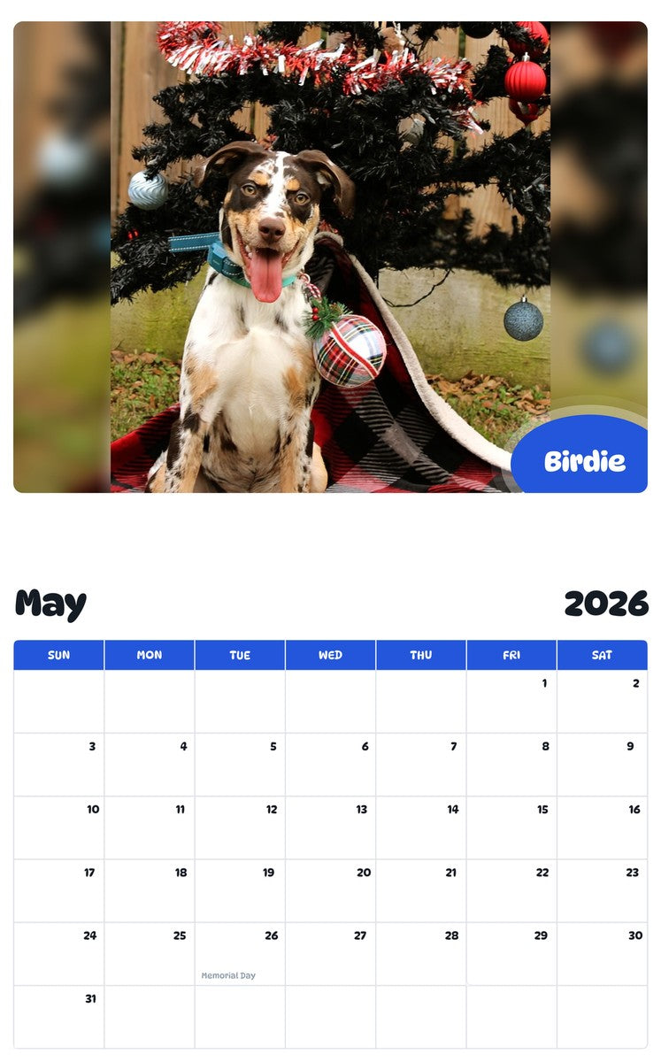 2026 - 2027 Birdie - Pawidols Pet Calendar