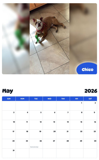 2026 - 2027 Chico - Pawidols Pet Calendar