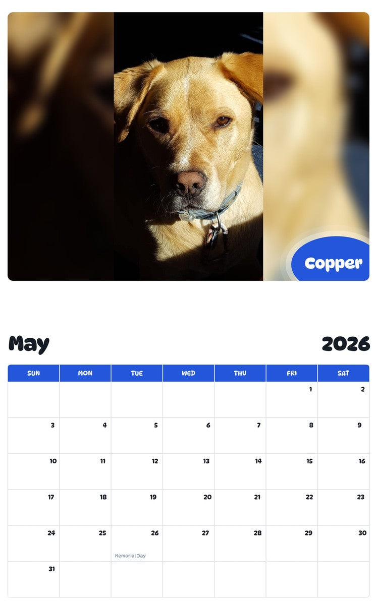 2026 - 2027 Copper - Pawidols Pet Calendar