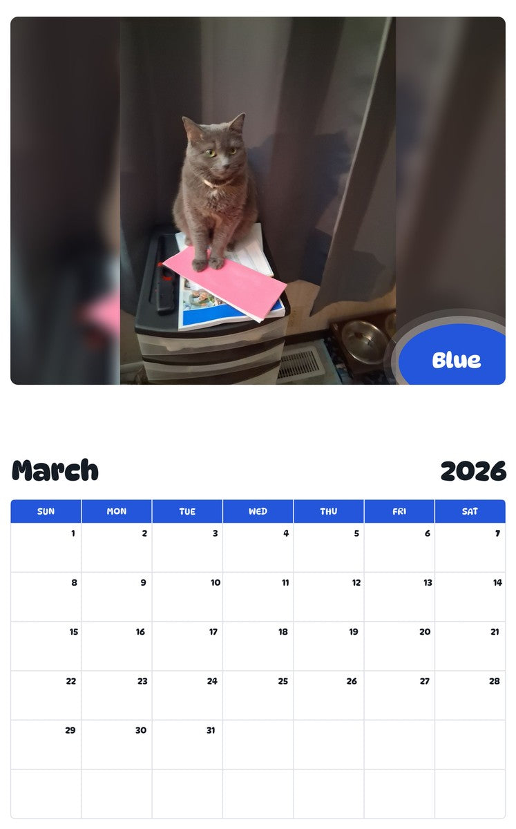 November 2025 - October 2026 Blue - Pawidols Pet Calendar