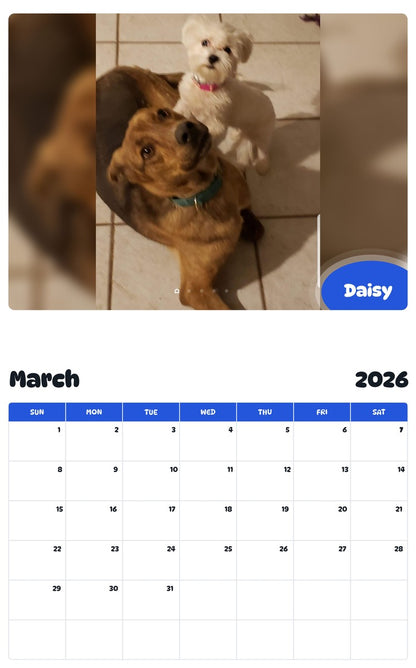 November 2025 - October 2026 Daisy - Pawidols Pet Calendar