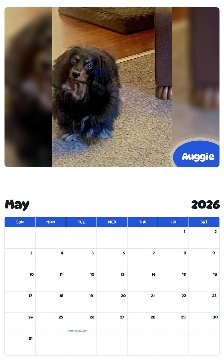 2026 - 2027 Auggie - Pawidols Pet Calendar