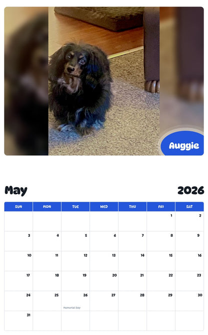 2026 - 2027 Auggie - Pawidols Pet Calendar