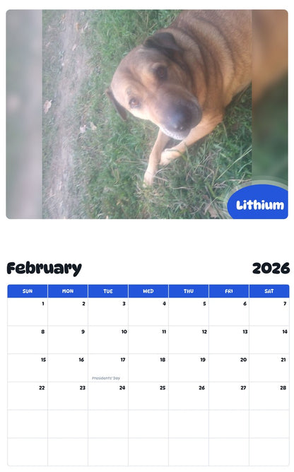 October 2025 - September 2026 Lithium - Pawidols Pet Calendar