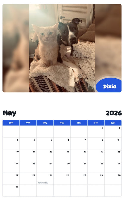 2026 - 2027 Dixie - Pawidols Pet Calendar
