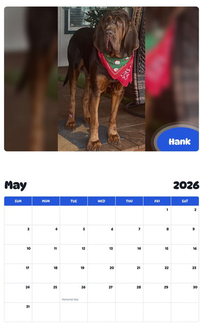 2026 - 2027 Hank - Pawidols Pet Calendar