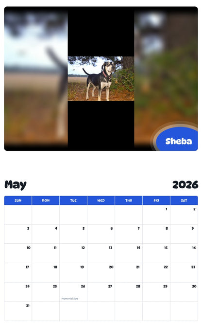 2026 - 2027 Sheba - Pawidols Pet Calendar