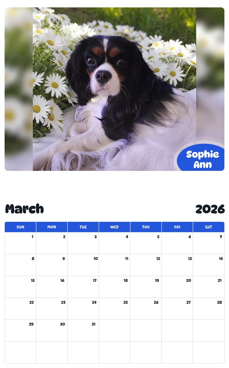 November 2025 - October 2026 Sophie Ann - Pawidols Pet Calendar