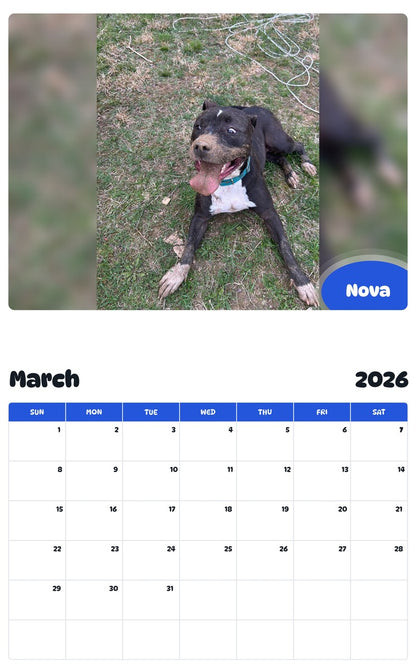November 2025 - October 2026 Nova - Pawidols Pet Calendar