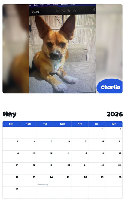 2026 - 2027 Charlie - Pawidols Pet Calendar