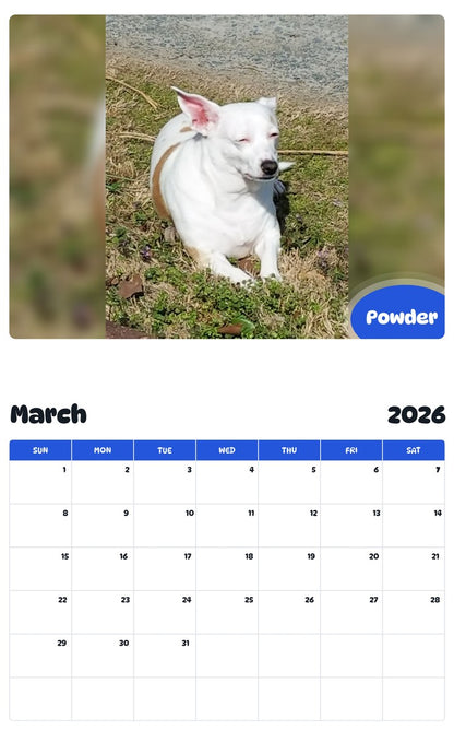 November 2025 - October 2026 Powder - Pawidols Pet Calendar