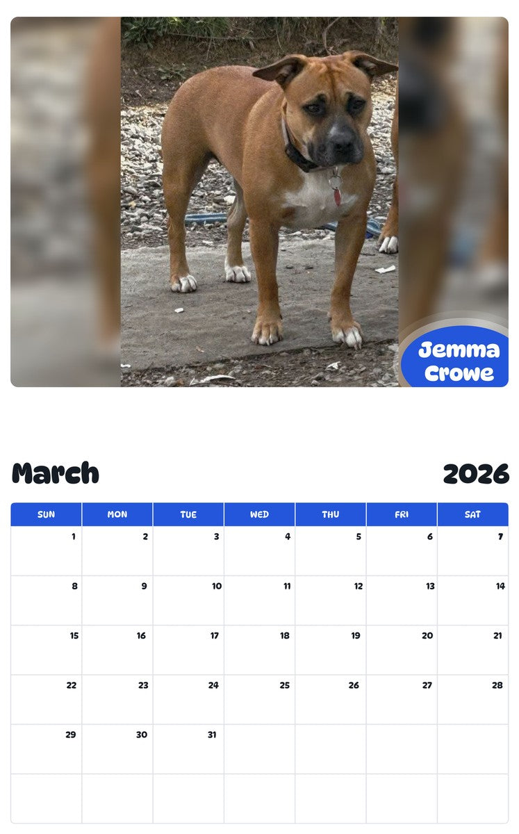 November 2025 - October 2026 Jemma Crowe - Pawidols Pet Calendar