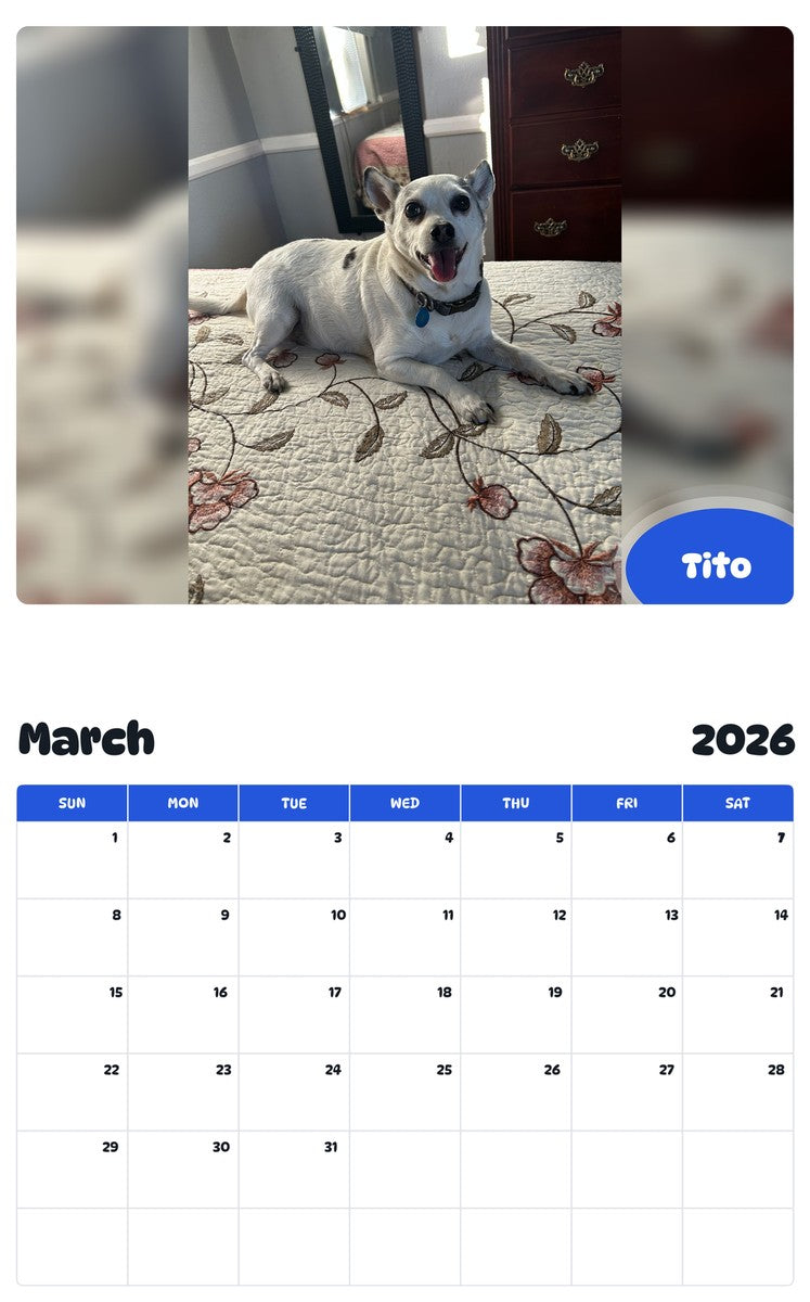 November 2025 - October 2026 Tito - Pawidols Pet Calendar