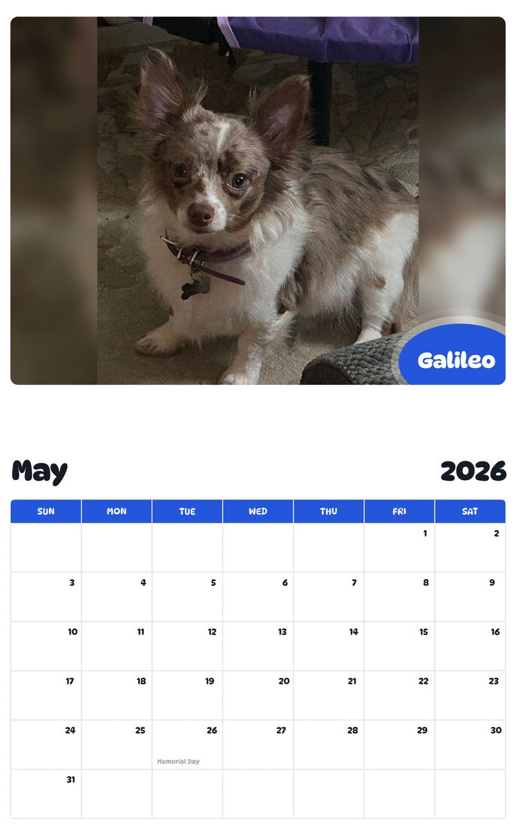 2026 - 2027 Galileo - Pawidols Pet Calendar