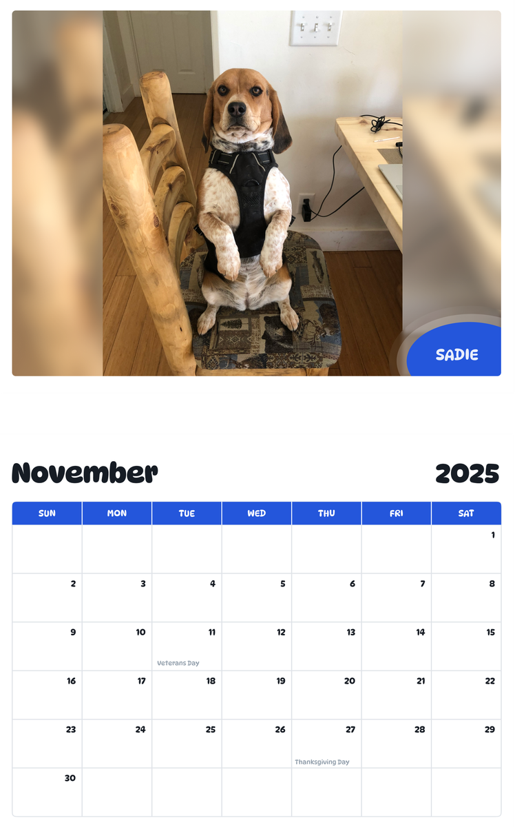July 2025 - June 2026 Sadie - Pawidols Pet Calendar