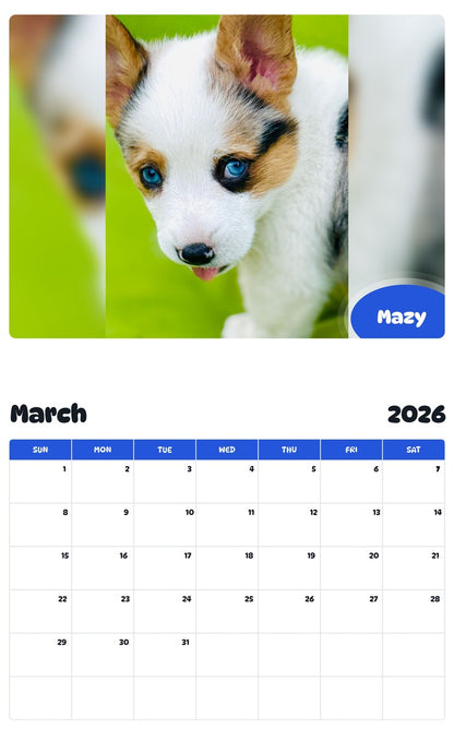 November 2025 - October 2026 Mazy - Pawidols Pet Calendar