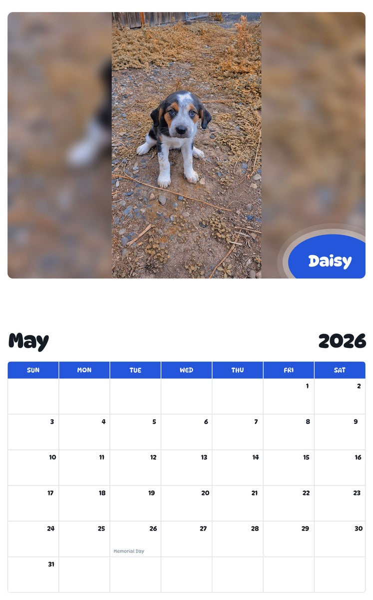 2026 - 2027 Daisy - Pawidols Pet Calendar