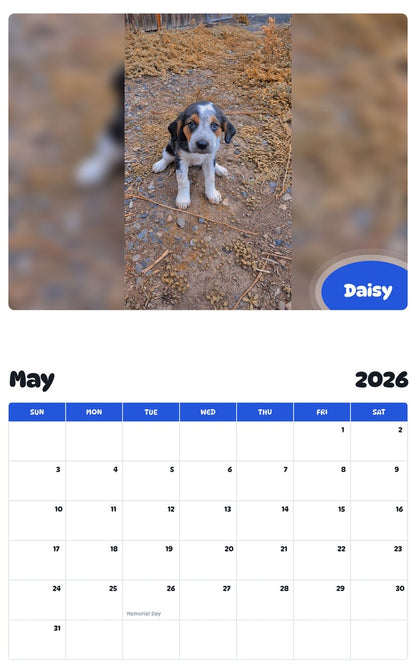 2026 - 2027 Daisy - Pawidols Pet Calendar