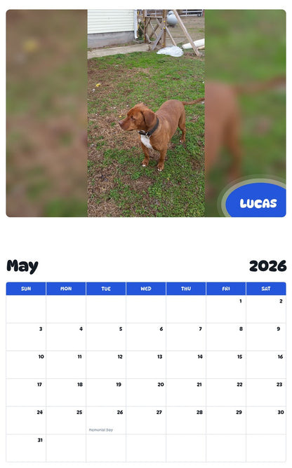 2026 - 2027 LUCAS - Pawidols Pet Calendar