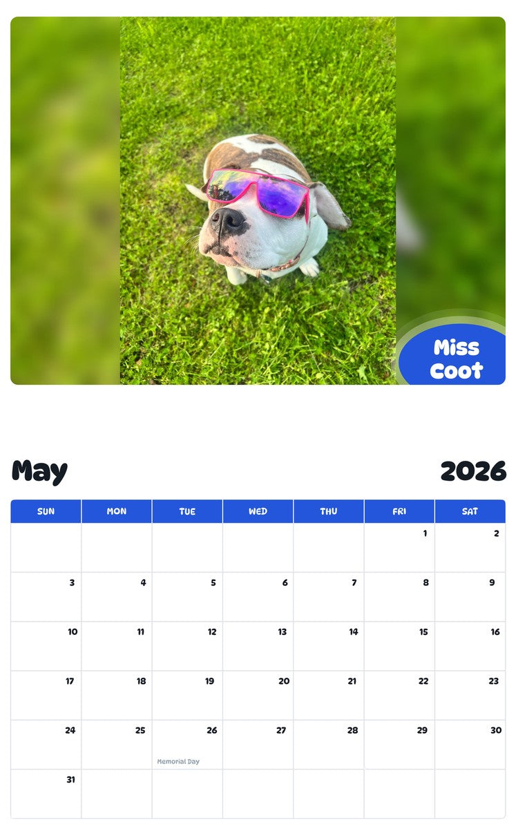 2026 - 2027 Miss Coot - Pawidols Pet Calendar