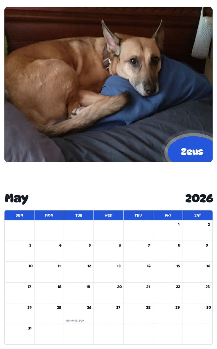 2026 - 2027 Zeus - Pawidols Pet Calendar