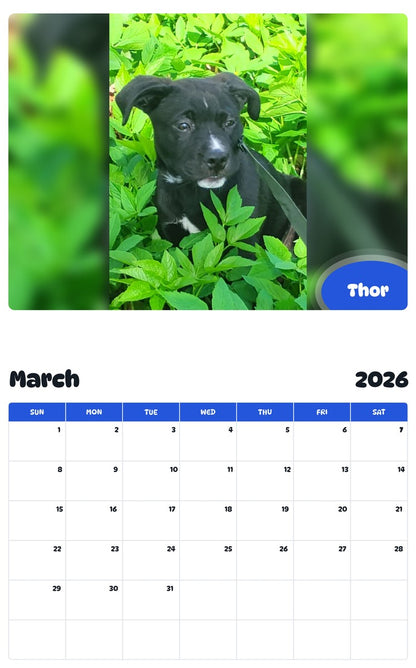 November 2025 - October 2026 Thor - Pawidols Pet Calendar