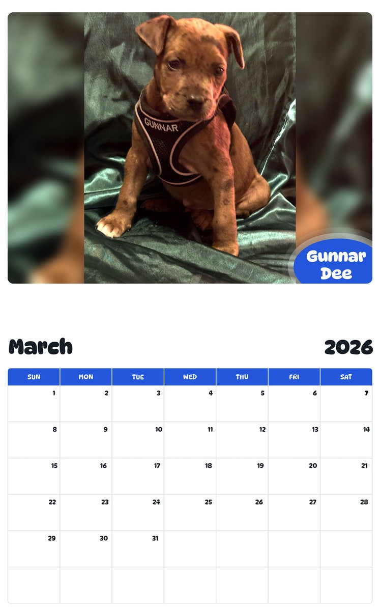 November 2025 - October 2026 Gunnar Dee - Pawidols Pet Calendar