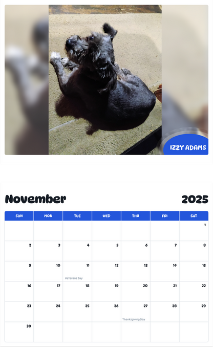 July 2025 - June 2026 Izzy Adams - Pawidols Pet Calendar