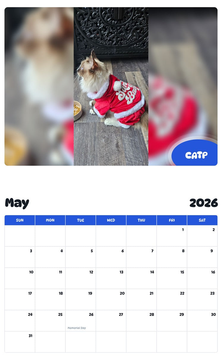 2026 - 2027 CATP - Pawidols Pet Calendar