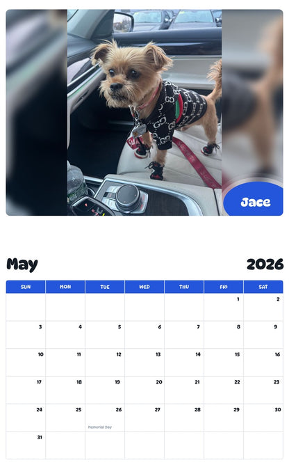2026 - 2027 Jace - Pawidols Pet Calendar
