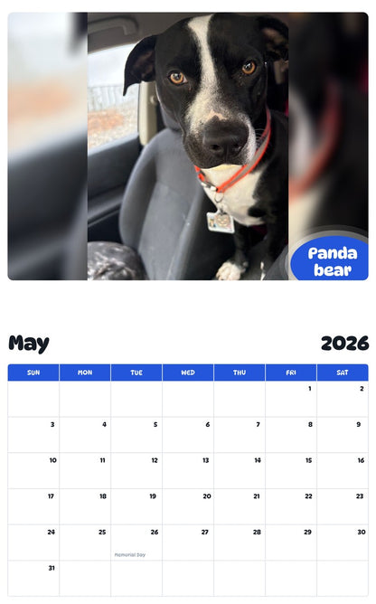 2026 - 2027 Panda bear - Pawidols Pet Calendar