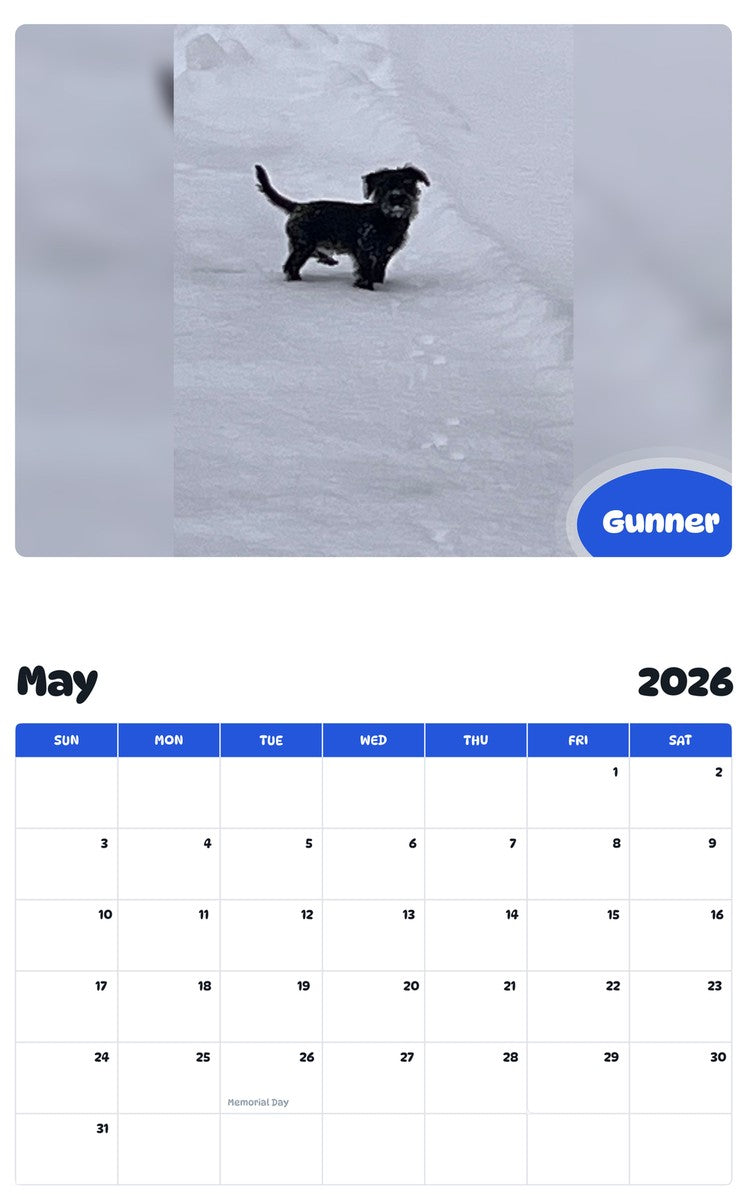 2026 - 2027 Gunner - Pawidols Pet Calendar