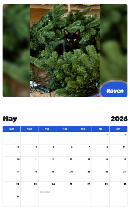 2026 - 2027 Raven - Pawidols Pet Calendar