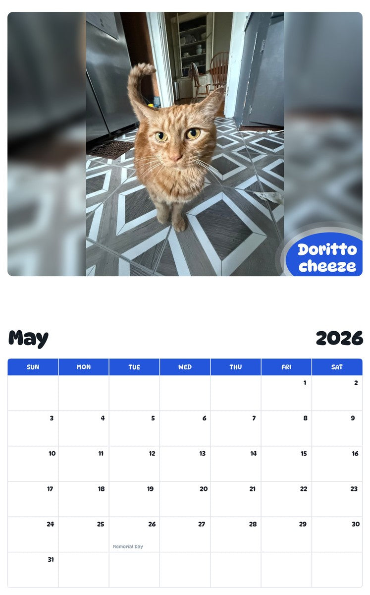 2026 - 2027 Doritto cheeze - Pawidols Pet Calendar